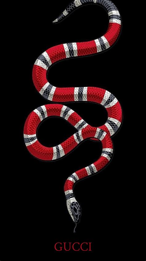 gucci snake blank backround|Gucci snake background.